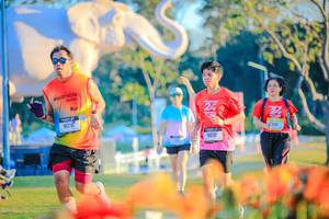 BIB: 
                            <button type="button" onclick="openModal(26183969)" class="btn btn-primary btn-sm float-right btn-popup" data-toggle="modal" data-target=".modal-high-quality">
                        <i class="fas fa-shopping-cart"></i> Add to Cart
                    </button>
                                            <button type="button" onclick="isThisMe(26183969, true)" class="btn btn-success btn-sm float-right btn-popup btn-isme hidden" data-toggle="tooltip" data-placement="bottom" title="นี่คือรูปของคุณใช่ไหม คลิกที่นี่เพื่อเอาเข้าอัลบั้ม">
                        <i class="fas fa-plus"></i> Add to album
                    </button>
                    <button type="button" onclick="isThisMe(26183969, false)" class="btn btn-warning btn-sm float-right btn-popup btn-isnotme hidden">
                        <i class="fas fa-ban"></i> Remove from album
                    </button>