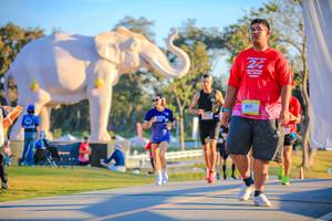 BIB: 
                            <button type="button" onclick="openModal(26183662)" class="btn btn-primary btn-sm float-right btn-popup" data-toggle="modal" data-target=".modal-high-quality">
                        <i class="fas fa-shopping-cart"></i> Add to Cart
                    </button>
                                            <button type="button" onclick="isThisMe(26183662, true)" class="btn btn-success btn-sm float-right btn-popup btn-isme hidden" data-toggle="tooltip" data-placement="bottom" title="นี่คือรูปของคุณใช่ไหม คลิกที่นี่เพื่อเอาเข้าอัลบั้ม">
                        <i class="fas fa-plus"></i> Add to album
                    </button>
                    <button type="button" onclick="isThisMe(26183662, false)" class="btn btn-warning btn-sm float-right btn-popup btn-isnotme hidden">
                        <i class="fas fa-ban"></i> Remove from album
                    </button>