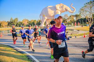 BIB: 
                            <button type="button" onclick="openModal(26186511)" class="btn btn-primary btn-sm float-right btn-popup" data-toggle="modal" data-target=".modal-high-quality">
                        <i class="fas fa-shopping-cart"></i> Add to Cart
                    </button>
                                            <button type="button" onclick="isThisMe(26186511, true)" class="btn btn-success btn-sm float-right btn-popup btn-isme hidden" data-toggle="tooltip" data-placement="bottom" title="นี่คือรูปของคุณใช่ไหม คลิกที่นี่เพื่อเอาเข้าอัลบั้ม">
                        <i class="fas fa-plus"></i> Add to album
                    </button>
                    <button type="button" onclick="isThisMe(26186511, false)" class="btn btn-warning btn-sm float-right btn-popup btn-isnotme hidden">
                        <i class="fas fa-ban"></i> Remove from album
                    </button>