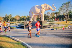 BIB: 
                            <button type="button" onclick="openModal(26186561)" class="btn btn-primary btn-sm float-right btn-popup" data-toggle="modal" data-target=".modal-high-quality">
                        <i class="fas fa-shopping-cart"></i> Add to Cart
                    </button>
                                            <button type="button" onclick="isThisMe(26186561, true)" class="btn btn-success btn-sm float-right btn-popup btn-isme hidden" data-toggle="tooltip" data-placement="bottom" title="นี่คือรูปของคุณใช่ไหม คลิกที่นี่เพื่อเอาเข้าอัลบั้ม">
                        <i class="fas fa-plus"></i> Add to album
                    </button>
                    <button type="button" onclick="isThisMe(26186561, false)" class="btn btn-warning btn-sm float-right btn-popup btn-isnotme hidden">
                        <i class="fas fa-ban"></i> Remove from album
                    </button>