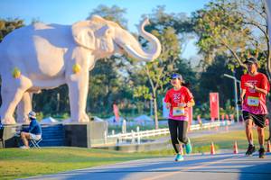 BIB: 
                            <button type="button" onclick="openModal(26183786)" class="btn btn-primary btn-sm float-right btn-popup" data-toggle="modal" data-target=".modal-high-quality">
                        <i class="fas fa-shopping-cart"></i> Add to Cart
                    </button>
                                            <button type="button" onclick="isThisMe(26183786, true)" class="btn btn-success btn-sm float-right btn-popup btn-isme hidden" data-toggle="tooltip" data-placement="bottom" title="นี่คือรูปของคุณใช่ไหม คลิกที่นี่เพื่อเอาเข้าอัลบั้ม">
                        <i class="fas fa-plus"></i> Add to album
                    </button>
                    <button type="button" onclick="isThisMe(26183786, false)" class="btn btn-warning btn-sm float-right btn-popup btn-isnotme hidden">
                        <i class="fas fa-ban"></i> Remove from album
                    </button>