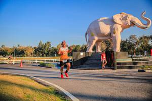 BIB: 
                            <button type="button" onclick="openModal(26186365)" class="btn btn-primary btn-sm float-right btn-popup" data-toggle="modal" data-target=".modal-high-quality">
                        <i class="fas fa-shopping-cart"></i> Add to Cart
                    </button>
                                            <button type="button" onclick="isThisMe(26186365, true)" class="btn btn-success btn-sm float-right btn-popup btn-isme hidden" data-toggle="tooltip" data-placement="bottom" title="นี่คือรูปของคุณใช่ไหม คลิกที่นี่เพื่อเอาเข้าอัลบั้ม">
                        <i class="fas fa-plus"></i> Add to album
                    </button>
                    <button type="button" onclick="isThisMe(26186365, false)" class="btn btn-warning btn-sm float-right btn-popup btn-isnotme hidden">
                        <i class="fas fa-ban"></i> Remove from album
                    </button>