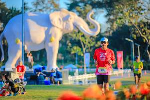 BIB: 
                            <button type="button" onclick="openModal(26183992)" class="btn btn-primary btn-sm float-right btn-popup" data-toggle="modal" data-target=".modal-high-quality">
                        <i class="fas fa-shopping-cart"></i> Add to Cart
                    </button>
                                            <button type="button" onclick="isThisMe(26183992, true)" class="btn btn-success btn-sm float-right btn-popup btn-isme hidden" data-toggle="tooltip" data-placement="bottom" title="นี่คือรูปของคุณใช่ไหม คลิกที่นี่เพื่อเอาเข้าอัลบั้ม">
                        <i class="fas fa-plus"></i> Add to album
                    </button>
                    <button type="button" onclick="isThisMe(26183992, false)" class="btn btn-warning btn-sm float-right btn-popup btn-isnotme hidden">
                        <i class="fas fa-ban"></i> Remove from album
                    </button>