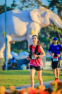 BIB: 
                            <button type="button" onclick="openModal(26183814)" class="btn btn-primary btn-sm float-right btn-popup" data-toggle="modal" data-target=".modal-high-quality">
                        <i class="fas fa-shopping-cart"></i> Add to Cart
                    </button>
                                            <button type="button" onclick="isThisMe(26183814, true)" class="btn btn-success btn-sm float-right btn-popup btn-isme hidden" data-toggle="tooltip" data-placement="bottom" title="นี่คือรูปของคุณใช่ไหม คลิกที่นี่เพื่อเอาเข้าอัลบั้ม">
                        <i class="fas fa-plus"></i> Add to album
                    </button>
                    <button type="button" onclick="isThisMe(26183814, false)" class="btn btn-warning btn-sm float-right btn-popup btn-isnotme hidden">
                        <i class="fas fa-ban"></i> Remove from album
                    </button>