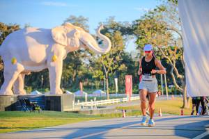 BIB: 
                            <button type="button" onclick="openModal(26183514)" class="btn btn-primary btn-sm float-right btn-popup" data-toggle="modal" data-target=".modal-high-quality">
                        <i class="fas fa-shopping-cart"></i> Add to Cart
                    </button>
                                            <button type="button" onclick="isThisMe(26183514, true)" class="btn btn-success btn-sm float-right btn-popup btn-isme hidden" data-toggle="tooltip" data-placement="bottom" title="นี่คือรูปของคุณใช่ไหม คลิกที่นี่เพื่อเอาเข้าอัลบั้ม">
                        <i class="fas fa-plus"></i> Add to album
                    </button>
                    <button type="button" onclick="isThisMe(26183514, false)" class="btn btn-warning btn-sm float-right btn-popup btn-isnotme hidden">
                        <i class="fas fa-ban"></i> Remove from album
                    </button>