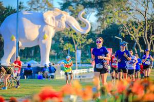 BIB: 
                            <button type="button" onclick="openModal(26184016)" class="btn btn-primary btn-sm float-right btn-popup" data-toggle="modal" data-target=".modal-high-quality">
                        <i class="fas fa-shopping-cart"></i> Add to Cart
                    </button>
                                            <button type="button" onclick="isThisMe(26184016, true)" class="btn btn-success btn-sm float-right btn-popup btn-isme hidden" data-toggle="tooltip" data-placement="bottom" title="นี่คือรูปของคุณใช่ไหม คลิกที่นี่เพื่อเอาเข้าอัลบั้ม">
                        <i class="fas fa-plus"></i> Add to album
                    </button>
                    <button type="button" onclick="isThisMe(26184016, false)" class="btn btn-warning btn-sm float-right btn-popup btn-isnotme hidden">
                        <i class="fas fa-ban"></i> Remove from album
                    </button>