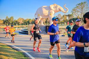 BIB: 
                            <button type="button" onclick="openModal(26186517)" class="btn btn-primary btn-sm float-right btn-popup" data-toggle="modal" data-target=".modal-high-quality">
                        <i class="fas fa-shopping-cart"></i> Add to Cart
                    </button>
                                            <button type="button" onclick="isThisMe(26186517, true)" class="btn btn-success btn-sm float-right btn-popup btn-isme hidden" data-toggle="tooltip" data-placement="bottom" title="นี่คือรูปของคุณใช่ไหม คลิกที่นี่เพื่อเอาเข้าอัลบั้ม">
                        <i class="fas fa-plus"></i> Add to album
                    </button>
                    <button type="button" onclick="isThisMe(26186517, false)" class="btn btn-warning btn-sm float-right btn-popup btn-isnotme hidden">
                        <i class="fas fa-ban"></i> Remove from album
                    </button>