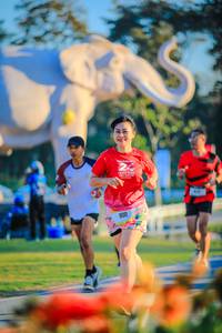 BIB: 
                            <button type="button" onclick="openModal(26183895)" class="btn btn-primary btn-sm float-right btn-popup" data-toggle="modal" data-target=".modal-high-quality">
                        <i class="fas fa-shopping-cart"></i> Add to Cart
                    </button>
                                            <button type="button" onclick="isThisMe(26183895, true)" class="btn btn-success btn-sm float-right btn-popup btn-isme hidden" data-toggle="tooltip" data-placement="bottom" title="นี่คือรูปของคุณใช่ไหม คลิกที่นี่เพื่อเอาเข้าอัลบั้ม">
                        <i class="fas fa-plus"></i> Add to album
                    </button>
                    <button type="button" onclick="isThisMe(26183895, false)" class="btn btn-warning btn-sm float-right btn-popup btn-isnotme hidden">
                        <i class="fas fa-ban"></i> Remove from album
                    </button>