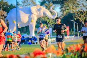 BIB: 
                            <button type="button" onclick="openModal(26184045)" class="btn btn-primary btn-sm float-right btn-popup" data-toggle="modal" data-target=".modal-high-quality">
                        <i class="fas fa-shopping-cart"></i> Add to Cart
                    </button>
                                            <button type="button" onclick="isThisMe(26184045, true)" class="btn btn-success btn-sm float-right btn-popup btn-isme hidden" data-toggle="tooltip" data-placement="bottom" title="นี่คือรูปของคุณใช่ไหม คลิกที่นี่เพื่อเอาเข้าอัลบั้ม">
                        <i class="fas fa-plus"></i> Add to album
                    </button>
                    <button type="button" onclick="isThisMe(26184045, false)" class="btn btn-warning btn-sm float-right btn-popup btn-isnotme hidden">
                        <i class="fas fa-ban"></i> Remove from album
                    </button>