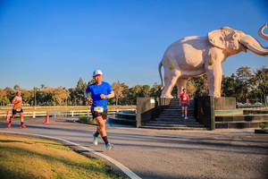 BIB: 
                            <button type="button" onclick="openModal(26186362)" class="btn btn-primary btn-sm float-right btn-popup" data-toggle="modal" data-target=".modal-high-quality">
                        <i class="fas fa-shopping-cart"></i> Add to Cart
                    </button>
                                            <button type="button" onclick="isThisMe(26186362, true)" class="btn btn-success btn-sm float-right btn-popup btn-isme hidden" data-toggle="tooltip" data-placement="bottom" title="นี่คือรูปของคุณใช่ไหม คลิกที่นี่เพื่อเอาเข้าอัลบั้ม">
                        <i class="fas fa-plus"></i> Add to album
                    </button>
                    <button type="button" onclick="isThisMe(26186362, false)" class="btn btn-warning btn-sm float-right btn-popup btn-isnotme hidden">
                        <i class="fas fa-ban"></i> Remove from album
                    </button>