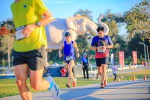 BIB: 
                            <button type="button" onclick="openModal(26183733)" class="btn btn-primary btn-sm float-right btn-popup" data-toggle="modal" data-target=".modal-high-quality">
                        <i class="fas fa-shopping-cart"></i> Add to Cart
                    </button>
                                            <button type="button" onclick="isThisMe(26183733, true)" class="btn btn-success btn-sm float-right btn-popup btn-isme hidden" data-toggle="tooltip" data-placement="bottom" title="นี่คือรูปของคุณใช่ไหม คลิกที่นี่เพื่อเอาเข้าอัลบั้ม">
                        <i class="fas fa-plus"></i> Add to album
                    </button>
                    <button type="button" onclick="isThisMe(26183733, false)" class="btn btn-warning btn-sm float-right btn-popup btn-isnotme hidden">
                        <i class="fas fa-ban"></i> Remove from album
                    </button>