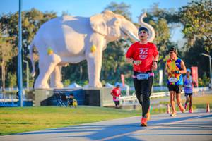 BIB: 
                            <button type="button" onclick="openModal(26183586)" class="btn btn-primary btn-sm float-right btn-popup" data-toggle="modal" data-target=".modal-high-quality">
                        <i class="fas fa-shopping-cart"></i> Add to Cart
                    </button>
                                            <button type="button" onclick="isThisMe(26183586, true)" class="btn btn-success btn-sm float-right btn-popup btn-isme hidden" data-toggle="tooltip" data-placement="bottom" title="นี่คือรูปของคุณใช่ไหม คลิกที่นี่เพื่อเอาเข้าอัลบั้ม">
                        <i class="fas fa-plus"></i> Add to album
                    </button>
                    <button type="button" onclick="isThisMe(26183586, false)" class="btn btn-warning btn-sm float-right btn-popup btn-isnotme hidden">
                        <i class="fas fa-ban"></i> Remove from album
                    </button>