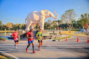 BIB: 
                            <button type="button" onclick="openModal(26186617)" class="btn btn-primary btn-sm float-right btn-popup" data-toggle="modal" data-target=".modal-high-quality">
                        <i class="fas fa-shopping-cart"></i> Add to Cart
                    </button>
                                            <button type="button" onclick="isThisMe(26186617, true)" class="btn btn-success btn-sm float-right btn-popup btn-isme hidden" data-toggle="tooltip" data-placement="bottom" title="นี่คือรูปของคุณใช่ไหม คลิกที่นี่เพื่อเอาเข้าอัลบั้ม">
                        <i class="fas fa-plus"></i> Add to album
                    </button>
                    <button type="button" onclick="isThisMe(26186617, false)" class="btn btn-warning btn-sm float-right btn-popup btn-isnotme hidden">
                        <i class="fas fa-ban"></i> Remove from album
                    </button>