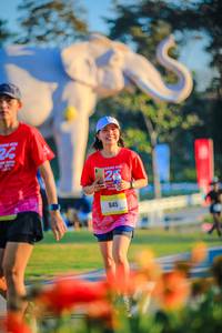 BIB: 
                            <button type="button" onclick="openModal(26183908)" class="btn btn-primary btn-sm float-right btn-popup" data-toggle="modal" data-target=".modal-high-quality">
                        <i class="fas fa-shopping-cart"></i> Add to Cart
                    </button>
                                            <button type="button" onclick="isThisMe(26183908, true)" class="btn btn-success btn-sm float-right btn-popup btn-isme hidden" data-toggle="tooltip" data-placement="bottom" title="นี่คือรูปของคุณใช่ไหม คลิกที่นี่เพื่อเอาเข้าอัลบั้ม">
                        <i class="fas fa-plus"></i> Add to album
                    </button>
                    <button type="button" onclick="isThisMe(26183908, false)" class="btn btn-warning btn-sm float-right btn-popup btn-isnotme hidden">
                        <i class="fas fa-ban"></i> Remove from album
                    </button>