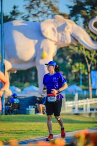 BIB: 
                            <button type="button" onclick="openModal(26183815)" class="btn btn-primary btn-sm float-right btn-popup" data-toggle="modal" data-target=".modal-high-quality">
                        <i class="fas fa-shopping-cart"></i> Add to Cart
                    </button>
                                            <button type="button" onclick="isThisMe(26183815, true)" class="btn btn-success btn-sm float-right btn-popup btn-isme hidden" data-toggle="tooltip" data-placement="bottom" title="นี่คือรูปของคุณใช่ไหม คลิกที่นี่เพื่อเอาเข้าอัลบั้ม">
                        <i class="fas fa-plus"></i> Add to album
                    </button>
                    <button type="button" onclick="isThisMe(26183815, false)" class="btn btn-warning btn-sm float-right btn-popup btn-isnotme hidden">
                        <i class="fas fa-ban"></i> Remove from album
                    </button>