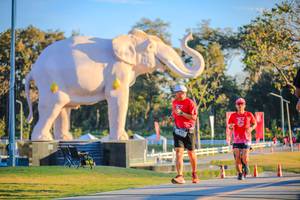 BIB: 
                            <button type="button" onclick="openModal(26183537)" class="btn btn-primary btn-sm float-right btn-popup" data-toggle="modal" data-target=".modal-high-quality">
                        <i class="fas fa-shopping-cart"></i> Add to Cart
                    </button>
                                            <button type="button" onclick="isThisMe(26183537, true)" class="btn btn-success btn-sm float-right btn-popup btn-isme hidden" data-toggle="tooltip" data-placement="bottom" title="นี่คือรูปของคุณใช่ไหม คลิกที่นี่เพื่อเอาเข้าอัลบั้ม">
                        <i class="fas fa-plus"></i> Add to album
                    </button>
                    <button type="button" onclick="isThisMe(26183537, false)" class="btn btn-warning btn-sm float-right btn-popup btn-isnotme hidden">
                        <i class="fas fa-ban"></i> Remove from album
                    </button>