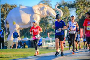 BIB: 
                            <button type="button" onclick="openModal(26183618)" class="btn btn-primary btn-sm float-right btn-popup" data-toggle="modal" data-target=".modal-high-quality">
                        <i class="fas fa-shopping-cart"></i> Add to Cart
                    </button>
                                            <button type="button" onclick="isThisMe(26183618, true)" class="btn btn-success btn-sm float-right btn-popup btn-isme hidden" data-toggle="tooltip" data-placement="bottom" title="นี่คือรูปของคุณใช่ไหม คลิกที่นี่เพื่อเอาเข้าอัลบั้ม">
                        <i class="fas fa-plus"></i> Add to album
                    </button>
                    <button type="button" onclick="isThisMe(26183618, false)" class="btn btn-warning btn-sm float-right btn-popup btn-isnotme hidden">
                        <i class="fas fa-ban"></i> Remove from album
                    </button>