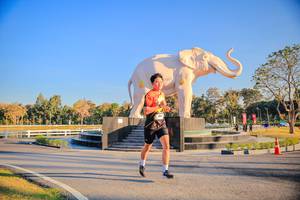 BIB: 
                            <button type="button" onclick="openModal(26186447)" class="btn btn-primary btn-sm float-right btn-popup" data-toggle="modal" data-target=".modal-high-quality">
                        <i class="fas fa-shopping-cart"></i> Add to Cart
                    </button>
                                            <button type="button" onclick="isThisMe(26186447, true)" class="btn btn-success btn-sm float-right btn-popup btn-isme hidden" data-toggle="tooltip" data-placement="bottom" title="นี่คือรูปของคุณใช่ไหม คลิกที่นี่เพื่อเอาเข้าอัลบั้ม">
                        <i class="fas fa-plus"></i> Add to album
                    </button>
                    <button type="button" onclick="isThisMe(26186447, false)" class="btn btn-warning btn-sm float-right btn-popup btn-isnotme hidden">
                        <i class="fas fa-ban"></i> Remove from album
                    </button>