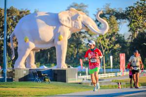 BIB: 
                            <button type="button" onclick="openModal(26183547)" class="btn btn-primary btn-sm float-right btn-popup" data-toggle="modal" data-target=".modal-high-quality">
                        <i class="fas fa-shopping-cart"></i> Add to Cart
                    </button>
                                            <button type="button" onclick="isThisMe(26183547, true)" class="btn btn-success btn-sm float-right btn-popup btn-isme hidden" data-toggle="tooltip" data-placement="bottom" title="นี่คือรูปของคุณใช่ไหม คลิกที่นี่เพื่อเอาเข้าอัลบั้ม">
                        <i class="fas fa-plus"></i> Add to album
                    </button>
                    <button type="button" onclick="isThisMe(26183547, false)" class="btn btn-warning btn-sm float-right btn-popup btn-isnotme hidden">
                        <i class="fas fa-ban"></i> Remove from album
                    </button>