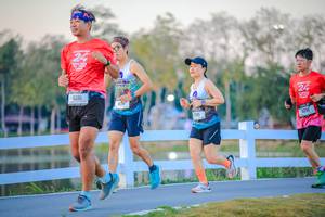 BIB: 
                            <button type="button" onclick="openModal(26185019)" class="btn btn-primary btn-sm float-right btn-popup" data-toggle="modal" data-target=".modal-high-quality">
                        <i class="fas fa-shopping-cart"></i> Add to Cart
                    </button>
                                            <button type="button" onclick="isThisMe(26185019, true)" class="btn btn-success btn-sm float-right btn-popup btn-isme hidden" data-toggle="tooltip" data-placement="bottom" title="นี่คือรูปของคุณใช่ไหม คลิกที่นี่เพื่อเอาเข้าอัลบั้ม">
                        <i class="fas fa-plus"></i> Add to album
                    </button>
                    <button type="button" onclick="isThisMe(26185019, false)" class="btn btn-warning btn-sm float-right btn-popup btn-isnotme hidden">
                        <i class="fas fa-ban"></i> Remove from album
                    </button>