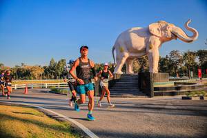 BIB: 
                            <button type="button" onclick="openModal(26186399)" class="btn btn-primary btn-sm float-right btn-popup" data-toggle="modal" data-target=".modal-high-quality">
                        <i class="fas fa-shopping-cart"></i> Add to Cart
                    </button>
                                            <button type="button" onclick="isThisMe(26186399, true)" class="btn btn-success btn-sm float-right btn-popup btn-isme hidden" data-toggle="tooltip" data-placement="bottom" title="นี่คือรูปของคุณใช่ไหม คลิกที่นี่เพื่อเอาเข้าอัลบั้ม">
                        <i class="fas fa-plus"></i> Add to album
                    </button>
                    <button type="button" onclick="isThisMe(26186399, false)" class="btn btn-warning btn-sm float-right btn-popup btn-isnotme hidden">
                        <i class="fas fa-ban"></i> Remove from album
                    </button>