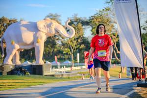 BIB: 
                            <button type="button" onclick="openModal(26183530)" class="btn btn-primary btn-sm float-right btn-popup" data-toggle="modal" data-target=".modal-high-quality">
                        <i class="fas fa-shopping-cart"></i> Add to Cart
                    </button>
                                            <button type="button" onclick="isThisMe(26183530, true)" class="btn btn-success btn-sm float-right btn-popup btn-isme hidden" data-toggle="tooltip" data-placement="bottom" title="นี่คือรูปของคุณใช่ไหม คลิกที่นี่เพื่อเอาเข้าอัลบั้ม">
                        <i class="fas fa-plus"></i> Add to album
                    </button>
                    <button type="button" onclick="isThisMe(26183530, false)" class="btn btn-warning btn-sm float-right btn-popup btn-isnotme hidden">
                        <i class="fas fa-ban"></i> Remove from album
                    </button>