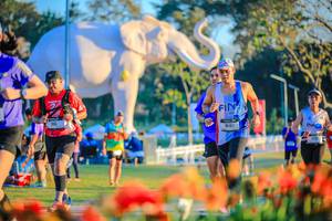 BIB: 
                            <button type="button" onclick="openModal(26184029)" class="btn btn-primary btn-sm float-right btn-popup" data-toggle="modal" data-target=".modal-high-quality">
                        <i class="fas fa-shopping-cart"></i> Add to Cart
                    </button>
                                            <button type="button" onclick="isThisMe(26184029, true)" class="btn btn-success btn-sm float-right btn-popup btn-isme hidden" data-toggle="tooltip" data-placement="bottom" title="นี่คือรูปของคุณใช่ไหม คลิกที่นี่เพื่อเอาเข้าอัลบั้ม">
                        <i class="fas fa-plus"></i> Add to album
                    </button>
                    <button type="button" onclick="isThisMe(26184029, false)" class="btn btn-warning btn-sm float-right btn-popup btn-isnotme hidden">
                        <i class="fas fa-ban"></i> Remove from album
                    </button>