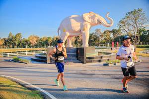 BIB: 
                            <button type="button" onclick="openModal(26186646)" class="btn btn-primary btn-sm float-right btn-popup" data-toggle="modal" data-target=".modal-high-quality">
                        <i class="fas fa-shopping-cart"></i> Add to Cart
                    </button>
                                            <button type="button" onclick="isThisMe(26186646, true)" class="btn btn-success btn-sm float-right btn-popup btn-isme hidden" data-toggle="tooltip" data-placement="bottom" title="นี่คือรูปของคุณใช่ไหม คลิกที่นี่เพื่อเอาเข้าอัลบั้ม">
                        <i class="fas fa-plus"></i> Add to album
                    </button>
                    <button type="button" onclick="isThisMe(26186646, false)" class="btn btn-warning btn-sm float-right btn-popup btn-isnotme hidden">
                        <i class="fas fa-ban"></i> Remove from album
                    </button>