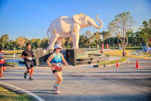 BIB: 
                            <button type="button" onclick="openModal(26186608)" class="btn btn-primary btn-sm float-right btn-popup" data-toggle="modal" data-target=".modal-high-quality">
                        <i class="fas fa-shopping-cart"></i> Add to Cart
                    </button>
                                            <button type="button" onclick="isThisMe(26186608, true)" class="btn btn-success btn-sm float-right btn-popup btn-isme hidden" data-toggle="tooltip" data-placement="bottom" title="นี่คือรูปของคุณใช่ไหม คลิกที่นี่เพื่อเอาเข้าอัลบั้ม">
                        <i class="fas fa-plus"></i> Add to album
                    </button>
                    <button type="button" onclick="isThisMe(26186608, false)" class="btn btn-warning btn-sm float-right btn-popup btn-isnotme hidden">
                        <i class="fas fa-ban"></i> Remove from album
                    </button>