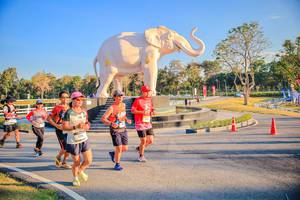 BIB: 
                            <button type="button" onclick="openModal(26186634)" class="btn btn-primary btn-sm float-right btn-popup" data-toggle="modal" data-target=".modal-high-quality">
                        <i class="fas fa-shopping-cart"></i> Add to Cart
                    </button>
                                            <button type="button" onclick="isThisMe(26186634, true)" class="btn btn-success btn-sm float-right btn-popup btn-isme hidden" data-toggle="tooltip" data-placement="bottom" title="นี่คือรูปของคุณใช่ไหม คลิกที่นี่เพื่อเอาเข้าอัลบั้ม">
                        <i class="fas fa-plus"></i> Add to album
                    </button>
                    <button type="button" onclick="isThisMe(26186634, false)" class="btn btn-warning btn-sm float-right btn-popup btn-isnotme hidden">
                        <i class="fas fa-ban"></i> Remove from album
                    </button>