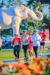 BIB: 
                            <button type="button" onclick="openModal(26183802)" class="btn btn-primary btn-sm float-right btn-popup" data-toggle="modal" data-target=".modal-high-quality">
                        <i class="fas fa-shopping-cart"></i> Add to Cart
                    </button>
                                            <button type="button" onclick="isThisMe(26183802, true)" class="btn btn-success btn-sm float-right btn-popup btn-isme hidden" data-toggle="tooltip" data-placement="bottom" title="นี่คือรูปของคุณใช่ไหม คลิกที่นี่เพื่อเอาเข้าอัลบั้ม">
                        <i class="fas fa-plus"></i> Add to album
                    </button>
                    <button type="button" onclick="isThisMe(26183802, false)" class="btn btn-warning btn-sm float-right btn-popup btn-isnotme hidden">
                        <i class="fas fa-ban"></i> Remove from album
                    </button>