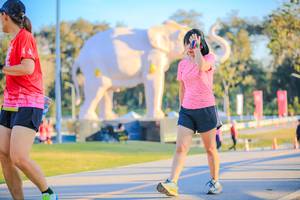 BIB: 
                            <button type="button" onclick="openModal(26183409)" class="btn btn-primary btn-sm float-right btn-popup" data-toggle="modal" data-target=".modal-high-quality">
                        <i class="fas fa-shopping-cart"></i> Add to Cart
                    </button>
                                            <button type="button" onclick="isThisMe(26183409, true)" class="btn btn-success btn-sm float-right btn-popup btn-isme hidden" data-toggle="tooltip" data-placement="bottom" title="นี่คือรูปของคุณใช่ไหม คลิกที่นี่เพื่อเอาเข้าอัลบั้ม">
                        <i class="fas fa-plus"></i> Add to album
                    </button>
                    <button type="button" onclick="isThisMe(26183409, false)" class="btn btn-warning btn-sm float-right btn-popup btn-isnotme hidden">
                        <i class="fas fa-ban"></i> Remove from album
                    </button>