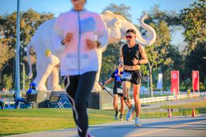 BIB: 
                            <button type="button" onclick="openModal(26183742)" class="btn btn-primary btn-sm float-right btn-popup" data-toggle="modal" data-target=".modal-high-quality">
                        <i class="fas fa-shopping-cart"></i> Add to Cart
                    </button>
                                            <button type="button" onclick="isThisMe(26183742, true)" class="btn btn-success btn-sm float-right btn-popup btn-isme hidden" data-toggle="tooltip" data-placement="bottom" title="นี่คือรูปของคุณใช่ไหม คลิกที่นี่เพื่อเอาเข้าอัลบั้ม">
                        <i class="fas fa-plus"></i> Add to album
                    </button>
                    <button type="button" onclick="isThisMe(26183742, false)" class="btn btn-warning btn-sm float-right btn-popup btn-isnotme hidden">
                        <i class="fas fa-ban"></i> Remove from album
                    </button>