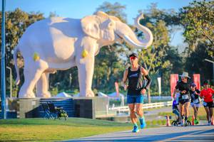 BIB: 
                            <button type="button" onclick="openModal(26183524)" class="btn btn-primary btn-sm float-right btn-popup" data-toggle="modal" data-target=".modal-high-quality">
                        <i class="fas fa-shopping-cart"></i> Add to Cart
                    </button>
                                            <button type="button" onclick="isThisMe(26183524, true)" class="btn btn-success btn-sm float-right btn-popup btn-isme hidden" data-toggle="tooltip" data-placement="bottom" title="นี่คือรูปของคุณใช่ไหม คลิกที่นี่เพื่อเอาเข้าอัลบั้ม">
                        <i class="fas fa-plus"></i> Add to album
                    </button>
                    <button type="button" onclick="isThisMe(26183524, false)" class="btn btn-warning btn-sm float-right btn-popup btn-isnotme hidden">
                        <i class="fas fa-ban"></i> Remove from album
                    </button>