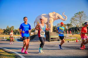 BIB: 
                            <button type="button" onclick="openModal(26186484)" class="btn btn-primary btn-sm float-right btn-popup" data-toggle="modal" data-target=".modal-high-quality">
                        <i class="fas fa-shopping-cart"></i> Add to Cart
                    </button>
                                            <button type="button" onclick="isThisMe(26186484, true)" class="btn btn-success btn-sm float-right btn-popup btn-isme hidden" data-toggle="tooltip" data-placement="bottom" title="นี่คือรูปของคุณใช่ไหม คลิกที่นี่เพื่อเอาเข้าอัลบั้ม">
                        <i class="fas fa-plus"></i> Add to album
                    </button>
                    <button type="button" onclick="isThisMe(26186484, false)" class="btn btn-warning btn-sm float-right btn-popup btn-isnotme hidden">
                        <i class="fas fa-ban"></i> Remove from album
                    </button>