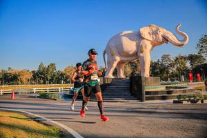 BIB: 
                            <button type="button" onclick="openModal(26186381)" class="btn btn-primary btn-sm float-right btn-popup" data-toggle="modal" data-target=".modal-high-quality">
                        <i class="fas fa-shopping-cart"></i> Add to Cart
                    </button>
                                            <button type="button" onclick="isThisMe(26186381, true)" class="btn btn-success btn-sm float-right btn-popup btn-isme hidden" data-toggle="tooltip" data-placement="bottom" title="นี่คือรูปของคุณใช่ไหม คลิกที่นี่เพื่อเอาเข้าอัลบั้ม">
                        <i class="fas fa-plus"></i> Add to album
                    </button>
                    <button type="button" onclick="isThisMe(26186381, false)" class="btn btn-warning btn-sm float-right btn-popup btn-isnotme hidden">
                        <i class="fas fa-ban"></i> Remove from album
                    </button>