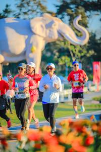 BIB: 
                            <button type="button" onclick="openModal(26183804)" class="btn btn-primary btn-sm float-right btn-popup" data-toggle="modal" data-target=".modal-high-quality">
                        <i class="fas fa-shopping-cart"></i> Add to Cart
                    </button>
                                            <button type="button" onclick="isThisMe(26183804, true)" class="btn btn-success btn-sm float-right btn-popup btn-isme hidden" data-toggle="tooltip" data-placement="bottom" title="นี่คือรูปของคุณใช่ไหม คลิกที่นี่เพื่อเอาเข้าอัลบั้ม">
                        <i class="fas fa-plus"></i> Add to album
                    </button>
                    <button type="button" onclick="isThisMe(26183804, false)" class="btn btn-warning btn-sm float-right btn-popup btn-isnotme hidden">
                        <i class="fas fa-ban"></i> Remove from album
                    </button>