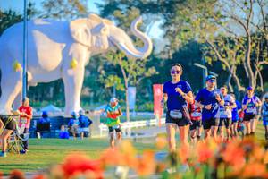 BIB: 
                            <button type="button" onclick="openModal(26184014)" class="btn btn-primary btn-sm float-right btn-popup" data-toggle="modal" data-target=".modal-high-quality">
                        <i class="fas fa-shopping-cart"></i> Add to Cart
                    </button>
                                            <button type="button" onclick="isThisMe(26184014, true)" class="btn btn-success btn-sm float-right btn-popup btn-isme hidden" data-toggle="tooltip" data-placement="bottom" title="นี่คือรูปของคุณใช่ไหม คลิกที่นี่เพื่อเอาเข้าอัลบั้ม">
                        <i class="fas fa-plus"></i> Add to album
                    </button>
                    <button type="button" onclick="isThisMe(26184014, false)" class="btn btn-warning btn-sm float-right btn-popup btn-isnotme hidden">
                        <i class="fas fa-ban"></i> Remove from album
                    </button>