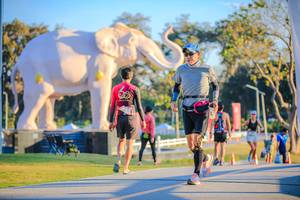 BIB: 
                            <button type="button" onclick="openModal(26183512)" class="btn btn-primary btn-sm float-right btn-popup" data-toggle="modal" data-target=".modal-high-quality">
                        <i class="fas fa-shopping-cart"></i> Add to Cart
                    </button>
                                            <button type="button" onclick="isThisMe(26183512, true)" class="btn btn-success btn-sm float-right btn-popup btn-isme hidden" data-toggle="tooltip" data-placement="bottom" title="นี่คือรูปของคุณใช่ไหม คลิกที่นี่เพื่อเอาเข้าอัลบั้ม">
                        <i class="fas fa-plus"></i> Add to album
                    </button>
                    <button type="button" onclick="isThisMe(26183512, false)" class="btn btn-warning btn-sm float-right btn-popup btn-isnotme hidden">
                        <i class="fas fa-ban"></i> Remove from album
                    </button>