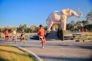 BIB: 
                            <button type="button" onclick="openModal(26186421)" class="btn btn-primary btn-sm float-right btn-popup" data-toggle="modal" data-target=".modal-high-quality">
                        <i class="fas fa-shopping-cart"></i> Add to Cart
                    </button>
                                            <button type="button" onclick="isThisMe(26186421, true)" class="btn btn-success btn-sm float-right btn-popup btn-isme hidden" data-toggle="tooltip" data-placement="bottom" title="นี่คือรูปของคุณใช่ไหม คลิกที่นี่เพื่อเอาเข้าอัลบั้ม">
                        <i class="fas fa-plus"></i> Add to album
                    </button>
                    <button type="button" onclick="isThisMe(26186421, false)" class="btn btn-warning btn-sm float-right btn-popup btn-isnotme hidden">
                        <i class="fas fa-ban"></i> Remove from album
                    </button>