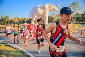 BIB: 
                            <button type="button" onclick="openModal(26186549)" class="btn btn-primary btn-sm float-right btn-popup" data-toggle="modal" data-target=".modal-high-quality">
                        <i class="fas fa-shopping-cart"></i> Add to Cart
                    </button>
                                            <button type="button" onclick="isThisMe(26186549, true)" class="btn btn-success btn-sm float-right btn-popup btn-isme hidden" data-toggle="tooltip" data-placement="bottom" title="นี่คือรูปของคุณใช่ไหม คลิกที่นี่เพื่อเอาเข้าอัลบั้ม">
                        <i class="fas fa-plus"></i> Add to album
                    </button>
                    <button type="button" onclick="isThisMe(26186549, false)" class="btn btn-warning btn-sm float-right btn-popup btn-isnotme hidden">
                        <i class="fas fa-ban"></i> Remove from album
                    </button>