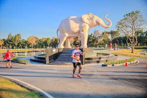 BIB: 
                            <button type="button" onclick="openModal(26186659)" class="btn btn-primary btn-sm float-right btn-popup" data-toggle="modal" data-target=".modal-high-quality">
                        <i class="fas fa-shopping-cart"></i> Add to Cart
                    </button>
                                            <button type="button" onclick="isThisMe(26186659, true)" class="btn btn-success btn-sm float-right btn-popup btn-isme hidden" data-toggle="tooltip" data-placement="bottom" title="นี่คือรูปของคุณใช่ไหม คลิกที่นี่เพื่อเอาเข้าอัลบั้ม">
                        <i class="fas fa-plus"></i> Add to album
                    </button>
                    <button type="button" onclick="isThisMe(26186659, false)" class="btn btn-warning btn-sm float-right btn-popup btn-isnotme hidden">
                        <i class="fas fa-ban"></i> Remove from album
                    </button>