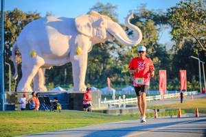 BIB: 
                            <button type="button" onclick="openModal(26183592)" class="btn btn-primary btn-sm float-right btn-popup" data-toggle="modal" data-target=".modal-high-quality">
                        <i class="fas fa-shopping-cart"></i> Add to Cart
                    </button>
                                            <button type="button" onclick="isThisMe(26183592, true)" class="btn btn-success btn-sm float-right btn-popup btn-isme hidden" data-toggle="tooltip" data-placement="bottom" title="นี่คือรูปของคุณใช่ไหม คลิกที่นี่เพื่อเอาเข้าอัลบั้ม">
                        <i class="fas fa-plus"></i> Add to album
                    </button>
                    <button type="button" onclick="isThisMe(26183592, false)" class="btn btn-warning btn-sm float-right btn-popup btn-isnotme hidden">
                        <i class="fas fa-ban"></i> Remove from album
                    </button>