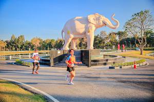 BIB: 
                            <button type="button" onclick="openModal(26186655)" class="btn btn-primary btn-sm float-right btn-popup" data-toggle="modal" data-target=".modal-high-quality">
                        <i class="fas fa-shopping-cart"></i> Add to Cart
                    </button>
                                            <button type="button" onclick="isThisMe(26186655, true)" class="btn btn-success btn-sm float-right btn-popup btn-isme hidden" data-toggle="tooltip" data-placement="bottom" title="นี่คือรูปของคุณใช่ไหม คลิกที่นี่เพื่อเอาเข้าอัลบั้ม">
                        <i class="fas fa-plus"></i> Add to album
                    </button>
                    <button type="button" onclick="isThisMe(26186655, false)" class="btn btn-warning btn-sm float-right btn-popup btn-isnotme hidden">
                        <i class="fas fa-ban"></i> Remove from album
                    </button>