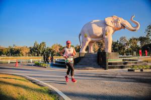 BIB: 
                            <button type="button" onclick="openModal(26186429)" class="btn btn-primary btn-sm float-right btn-popup" data-toggle="modal" data-target=".modal-high-quality">
                        <i class="fas fa-shopping-cart"></i> Add to Cart
                    </button>
                                            <button type="button" onclick="isThisMe(26186429, true)" class="btn btn-success btn-sm float-right btn-popup btn-isme hidden" data-toggle="tooltip" data-placement="bottom" title="นี่คือรูปของคุณใช่ไหม คลิกที่นี่เพื่อเอาเข้าอัลบั้ม">
                        <i class="fas fa-plus"></i> Add to album
                    </button>
                    <button type="button" onclick="isThisMe(26186429, false)" class="btn btn-warning btn-sm float-right btn-popup btn-isnotme hidden">
                        <i class="fas fa-ban"></i> Remove from album
                    </button>