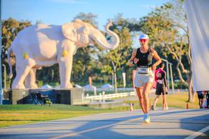 BIB: 
                            <button type="button" onclick="openModal(26183515)" class="btn btn-primary btn-sm float-right btn-popup" data-toggle="modal" data-target=".modal-high-quality">
                        <i class="fas fa-shopping-cart"></i> Add to Cart
                    </button>
                                            <button type="button" onclick="isThisMe(26183515, true)" class="btn btn-success btn-sm float-right btn-popup btn-isme hidden" data-toggle="tooltip" data-placement="bottom" title="นี่คือรูปของคุณใช่ไหม คลิกที่นี่เพื่อเอาเข้าอัลบั้ม">
                        <i class="fas fa-plus"></i> Add to album
                    </button>
                    <button type="button" onclick="isThisMe(26183515, false)" class="btn btn-warning btn-sm float-right btn-popup btn-isnotme hidden">
                        <i class="fas fa-ban"></i> Remove from album
                    </button>