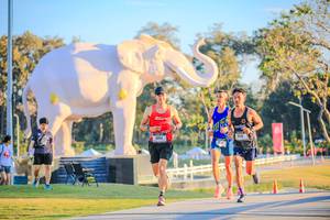 BIB: 
                            <button type="button" onclick="openModal(26183444)" class="btn btn-primary btn-sm float-right btn-popup" data-toggle="modal" data-target=".modal-high-quality">
                        <i class="fas fa-shopping-cart"></i> Add to Cart
                    </button>
                                            <button type="button" onclick="isThisMe(26183444, true)" class="btn btn-success btn-sm float-right btn-popup btn-isme hidden" data-toggle="tooltip" data-placement="bottom" title="นี่คือรูปของคุณใช่ไหม คลิกที่นี่เพื่อเอาเข้าอัลบั้ม">
                        <i class="fas fa-plus"></i> Add to album
                    </button>
                    <button type="button" onclick="isThisMe(26183444, false)" class="btn btn-warning btn-sm float-right btn-popup btn-isnotme hidden">
                        <i class="fas fa-ban"></i> Remove from album
                    </button>