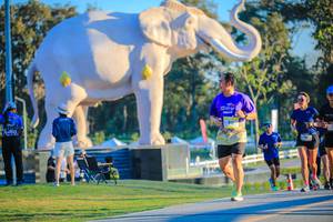 BIB: 
                            <button type="button" onclick="openModal(26183611)" class="btn btn-primary btn-sm float-right btn-popup" data-toggle="modal" data-target=".modal-high-quality">
                        <i class="fas fa-shopping-cart"></i> Add to Cart
                    </button>
                                            <button type="button" onclick="isThisMe(26183611, true)" class="btn btn-success btn-sm float-right btn-popup btn-isme hidden" data-toggle="tooltip" data-placement="bottom" title="นี่คือรูปของคุณใช่ไหม คลิกที่นี่เพื่อเอาเข้าอัลบั้ม">
                        <i class="fas fa-plus"></i> Add to album
                    </button>
                    <button type="button" onclick="isThisMe(26183611, false)" class="btn btn-warning btn-sm float-right btn-popup btn-isnotme hidden">
                        <i class="fas fa-ban"></i> Remove from album
                    </button>