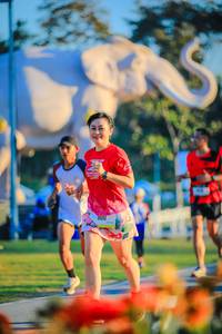 BIB: 
                            <button type="button" onclick="openModal(26183896)" class="btn btn-primary btn-sm float-right btn-popup" data-toggle="modal" data-target=".modal-high-quality">
                        <i class="fas fa-shopping-cart"></i> Add to Cart
                    </button>
                                            <button type="button" onclick="isThisMe(26183896, true)" class="btn btn-success btn-sm float-right btn-popup btn-isme hidden" data-toggle="tooltip" data-placement="bottom" title="นี่คือรูปของคุณใช่ไหม คลิกที่นี่เพื่อเอาเข้าอัลบั้ม">
                        <i class="fas fa-plus"></i> Add to album
                    </button>
                    <button type="button" onclick="isThisMe(26183896, false)" class="btn btn-warning btn-sm float-right btn-popup btn-isnotme hidden">
                        <i class="fas fa-ban"></i> Remove from album
                    </button>