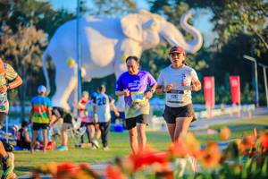 BIB: 
                            <button type="button" onclick="openModal(26184049)" class="btn btn-primary btn-sm float-right btn-popup" data-toggle="modal" data-target=".modal-high-quality">
                        <i class="fas fa-shopping-cart"></i> Add to Cart
                    </button>
                                            <button type="button" onclick="isThisMe(26184049, true)" class="btn btn-success btn-sm float-right btn-popup btn-isme hidden" data-toggle="tooltip" data-placement="bottom" title="นี่คือรูปของคุณใช่ไหม คลิกที่นี่เพื่อเอาเข้าอัลบั้ม">
                        <i class="fas fa-plus"></i> Add to album
                    </button>
                    <button type="button" onclick="isThisMe(26184049, false)" class="btn btn-warning btn-sm float-right btn-popup btn-isnotme hidden">
                        <i class="fas fa-ban"></i> Remove from album
                    </button>